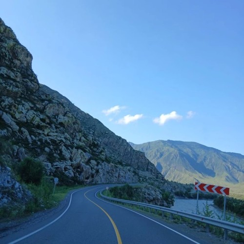 Алтай в цвету: маральник и Чуйский тракт — из Горно-Алтайска