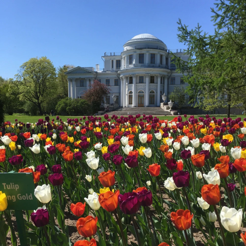 Семейная прогулка по Елагину острову с иммерсивным аудиогидом