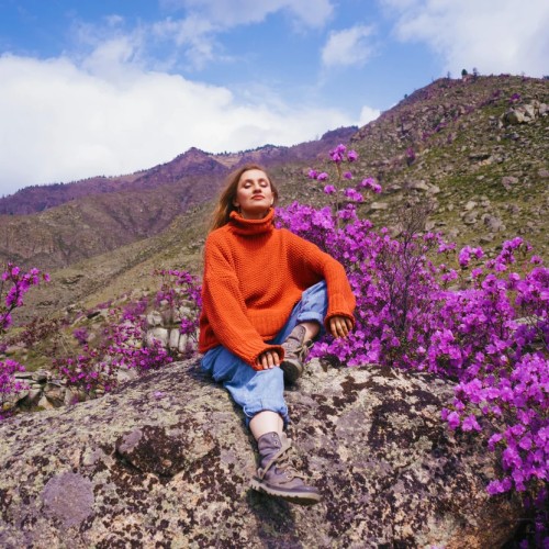 Майские на Алтае в сезон цветения маральника с ежедневными прогулками (всё включено)