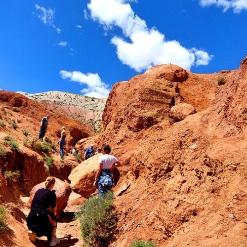 Насыщенный треккинг-тур по Алтаю с размещением на турбазах: более 25 локаций