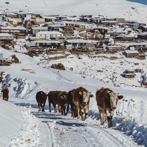 Объятия горного края: по топовым локациям Дагестана на внедорожниках