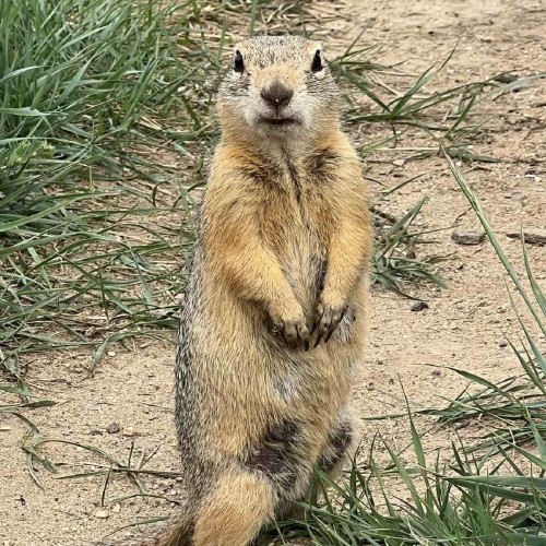 Экстрим-экспедиция на лодке вокруг Ольхона и рыбалка на Байкале только для вас