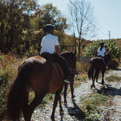 Выходные вдвоём в Абрау-Дюрсо с отдыхом в бане, конной прогулкой и лёгкими экскурсиями