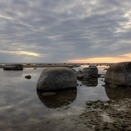 Оллинпяя — заповедник старинных дач