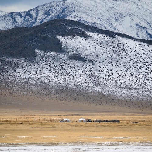 Из Алтая, по Чуйскому тракту — в Монголию на фестиваль беркутчи с проживанием в юрте