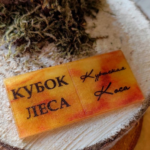Кубок леса: квест по Куршской Косе
