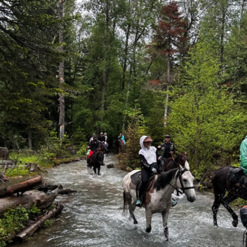 Верхом по Архызу: поездка для конников с любой подготовкой