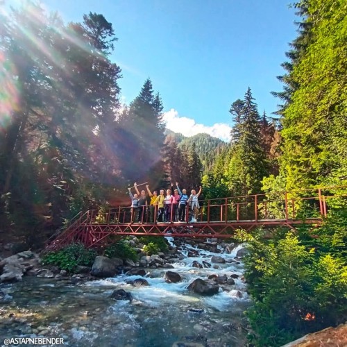 Лёгкий треккинг в горах Домбая с комфортом