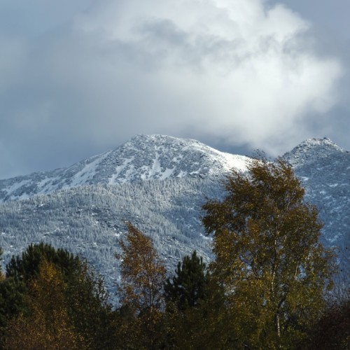 Сокровищница Прибайкалья: Байкальск, Листвянка и музей «Тальцы»