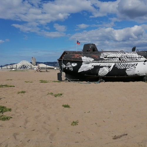 Вкус Севера: гастрономический тур по Кольскому полуострову для вашей компании