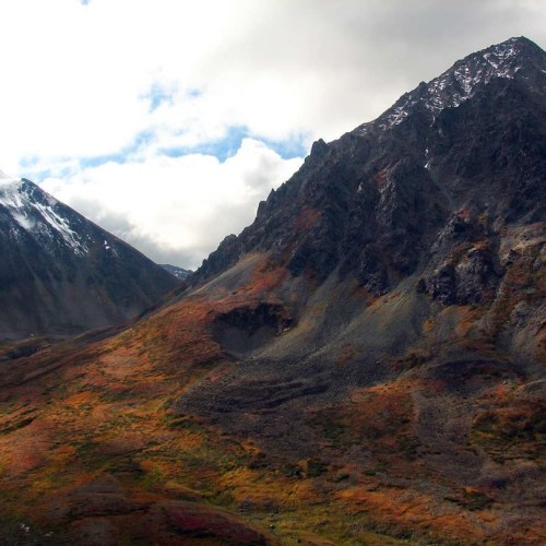 На Камчатке — вкусно есть: гастротур с рыбалкой и крабовой вечеринкой у океана
