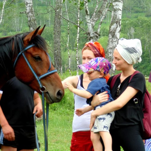 Конная прогулка вдоль горной реки Семы