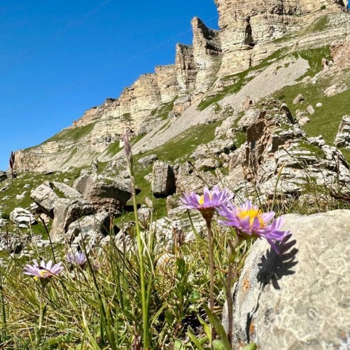 Всё лучшее на Кавказе — для вас: топ-локации, кухня, отдых на источниках, конная прогулка, рыбалка