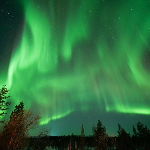 «Всё включено» на Кольском: охота за сиянием, снежное сафари, айс-флоатинг, арктическая кухня