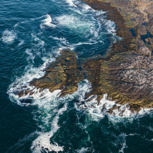 Дары Кольского полуострова в мини-группе: арктические деликатесы и культура саамов