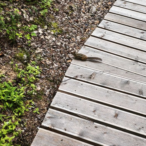 В Якутию на традиционный праздник Ысыах с посещением Ленских столбов и водными прогулками