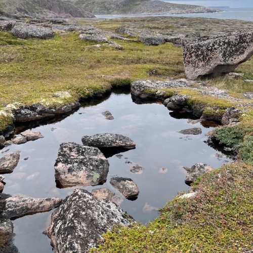 2 дня — 2 моря: к берегам Баренцева и Белого в мини-группе