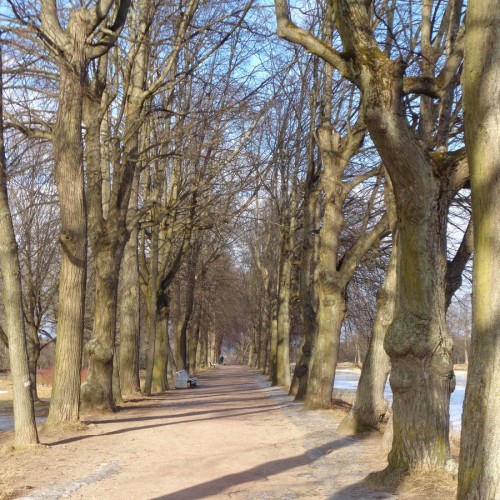 Уютный город Петергоф