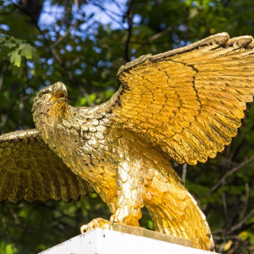 Красота в деталях: по Невскому с биноклем