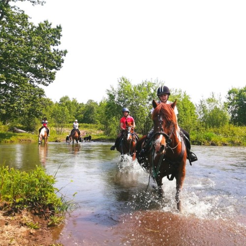 Камчатский максимум: конные прогулки, джипы, вулканы и рыбалка в Тихом океане