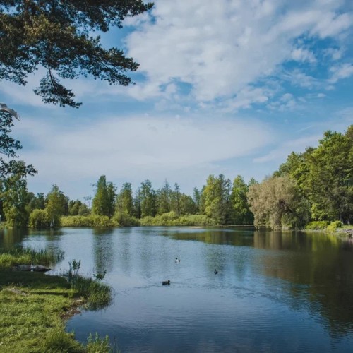 Большое путешествие из Петербурга — к Ладожским шхерам