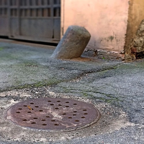 По Васильевскому с островитянином!