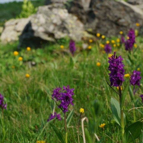 Треккинг-тур для активных по природным локациям Архыза без палаток