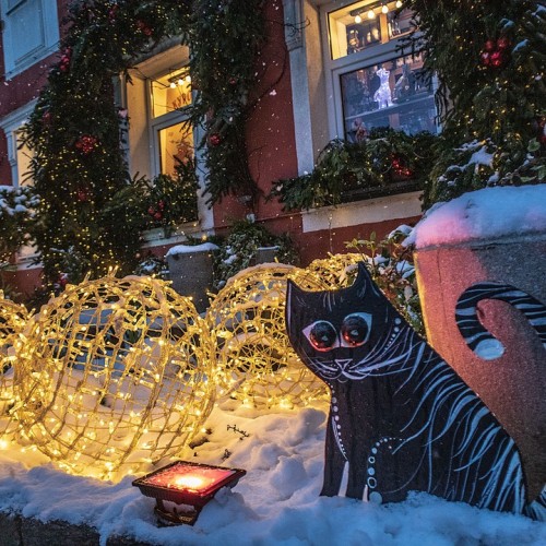 По следам Восточной Пруссии: Кёнигсберг, Зеленоградск и окрестные замки