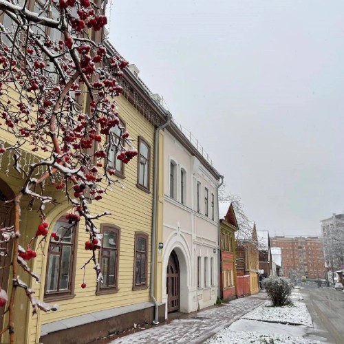 Дом аптекаря Эвениуса и деревянное зодчество Нижнего Новгорода (в группе)