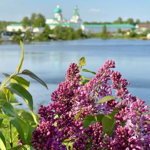 Из Петербурга — к монастырю Александра Свирского и другим святыням