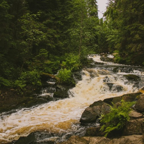 Лучшие впечатления от Карелии: крепость, водопады, хаски и музей в скале