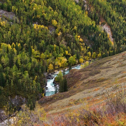 Загадки Алтая: тур с погружением в культуру и исследованием тайн (всё включено)