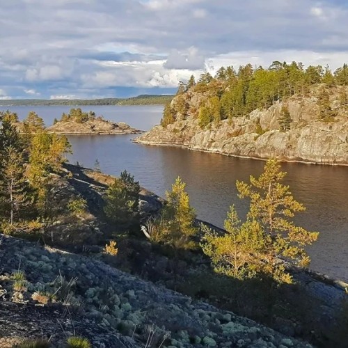 Аромат леса и сила воды: перезагрузка в Карелии с проживанием в глэмпинге