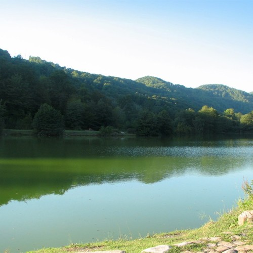 Приключения на лошадях в Сочи для новичков и опытных: по ущельям, долинам и лесам