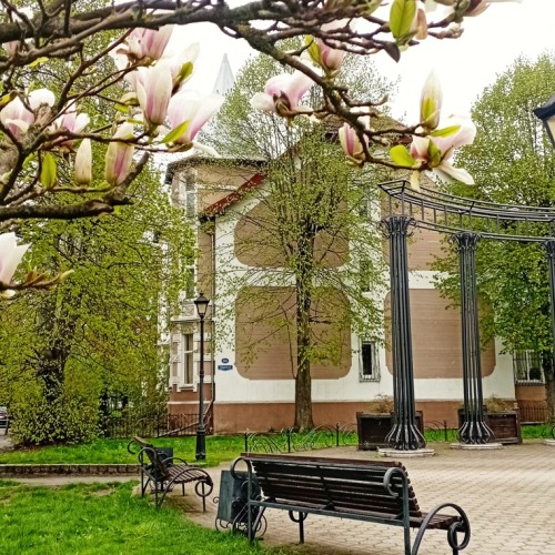 По аллеям Хуфена, или В гостях у Кёнигсберга