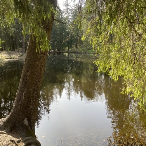 В гости к северным оленям + прогулка по Шуваловскому парку