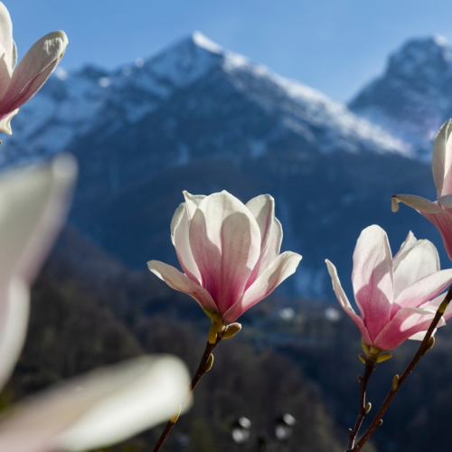 Джип-тур в горах Красной Поляны: 2 походных дня с палатками и рюкзаками, экскурсии и «Роза Хутор»
