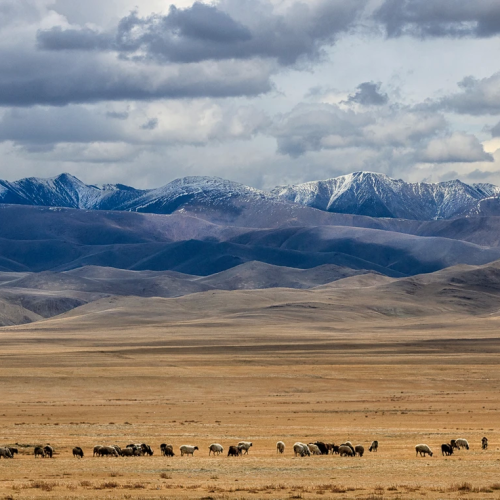 В окружении Саян: тур по Аршану и Монголии