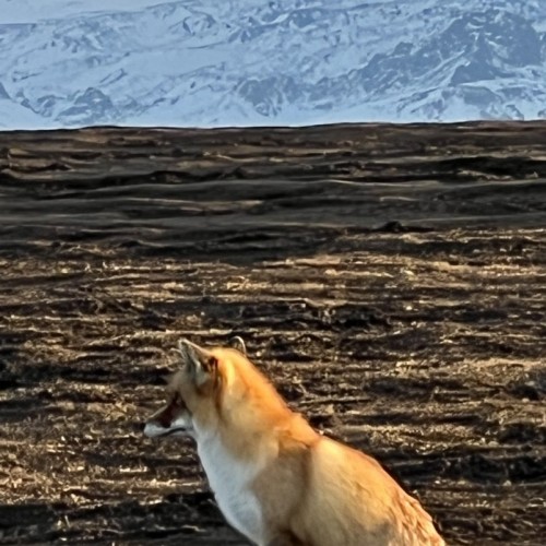 Уик-энд в Архызе: автовыезд по главным местам региона в мини-группе