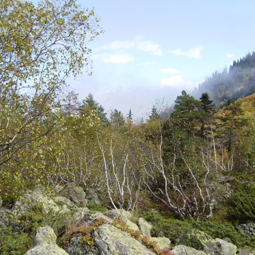 Домбай: экскурсии и походы по заповедным местам