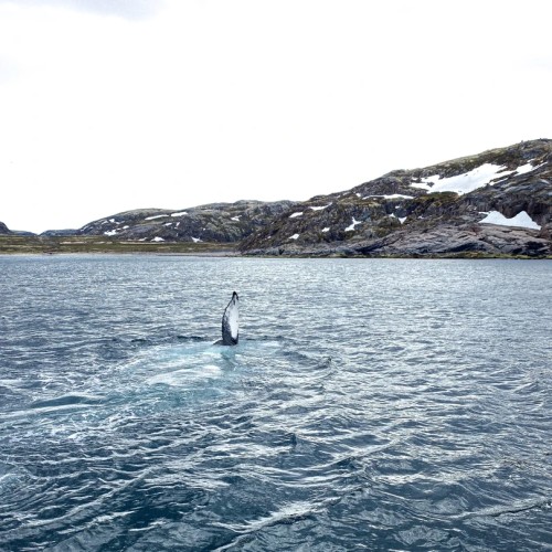 За атмосферой Арктики: тур из Мурманска в Териберку с дегустацией и прогулками по главным местам