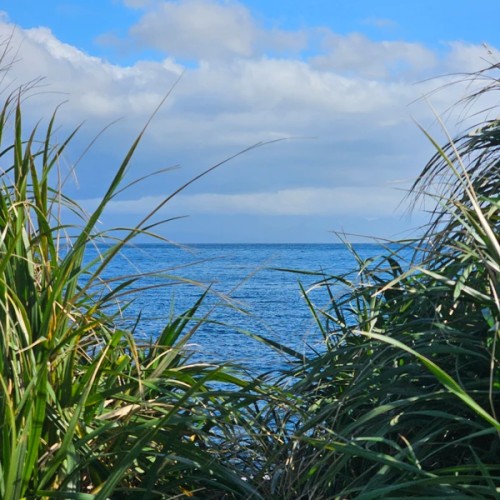 Большое путешествие по островам: Сахалин и Итуруп, Кунашир и Шикотан