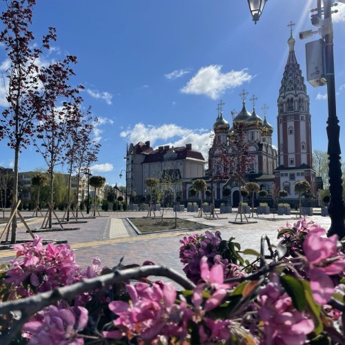 Отпуск в Калининграде и Светлогорске с экскурсиями на выбор
