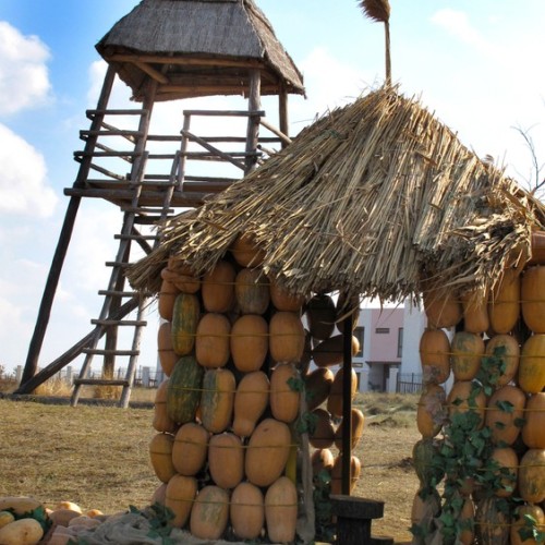 Курорты и не только: 2 моря, винодельни, казачьи и черкесские традиции