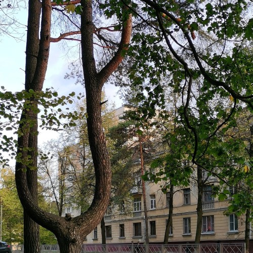 Обнинские физики: авторская программа с краеведом о первых годах города