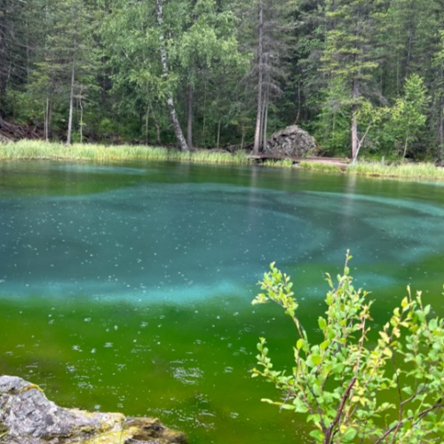 Алтайские тропы: красота природы с комфортом