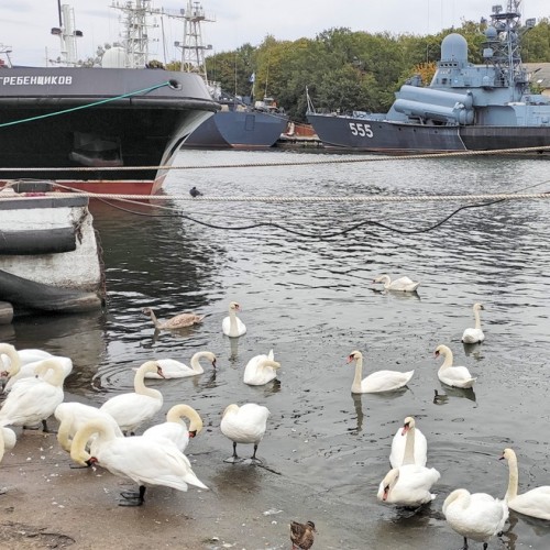 Калининград и всё побережье от Куршской косы до Балтийска индивидуально