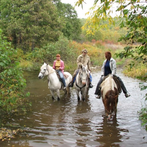 На лошадях к Корякскому вулкану с палатками. Всё включено