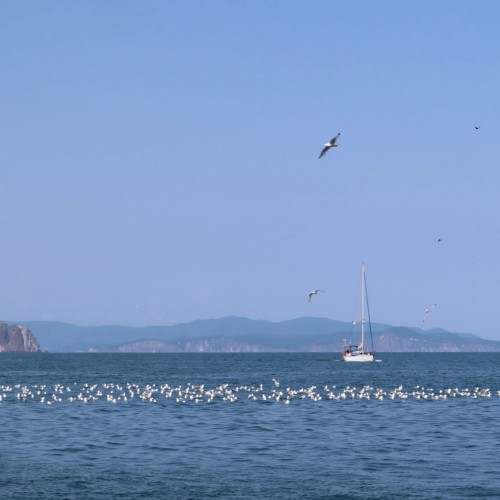 Природные красоты Камчатки: легко и без восхождений