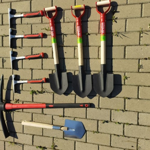 За окаменелостями музейного уровня в Ярославскую область с палеонтологом